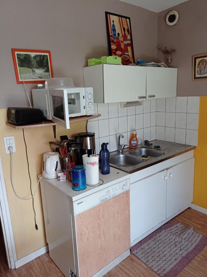 Chambre Chez L'Habitant Saint-Die-des-Vosges Bagian luar foto